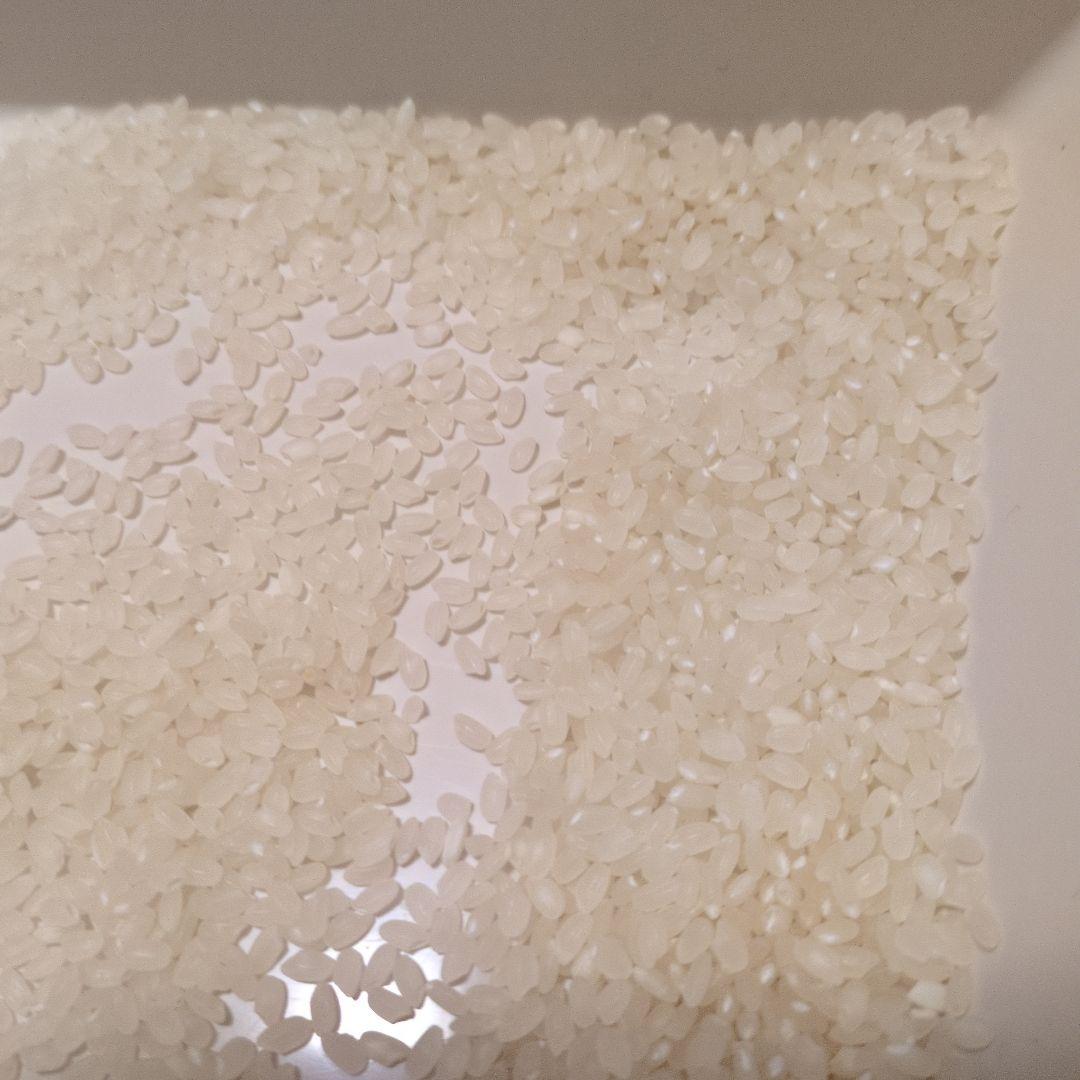 秋田県産、あきたこまち令和７年産、 玄米1４キロ