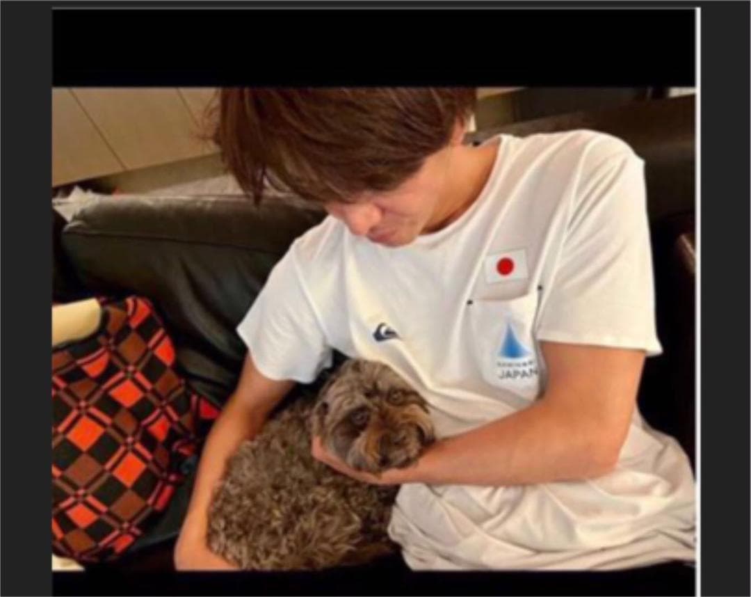 <新品>Quiksilver NAMINORI JAPAN Tシャツ ホワイト