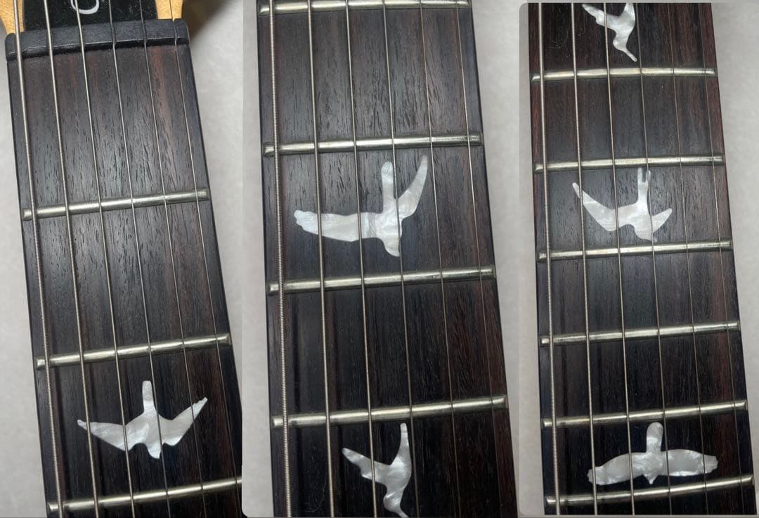 ギター PRS SE custom24 Trampas Green