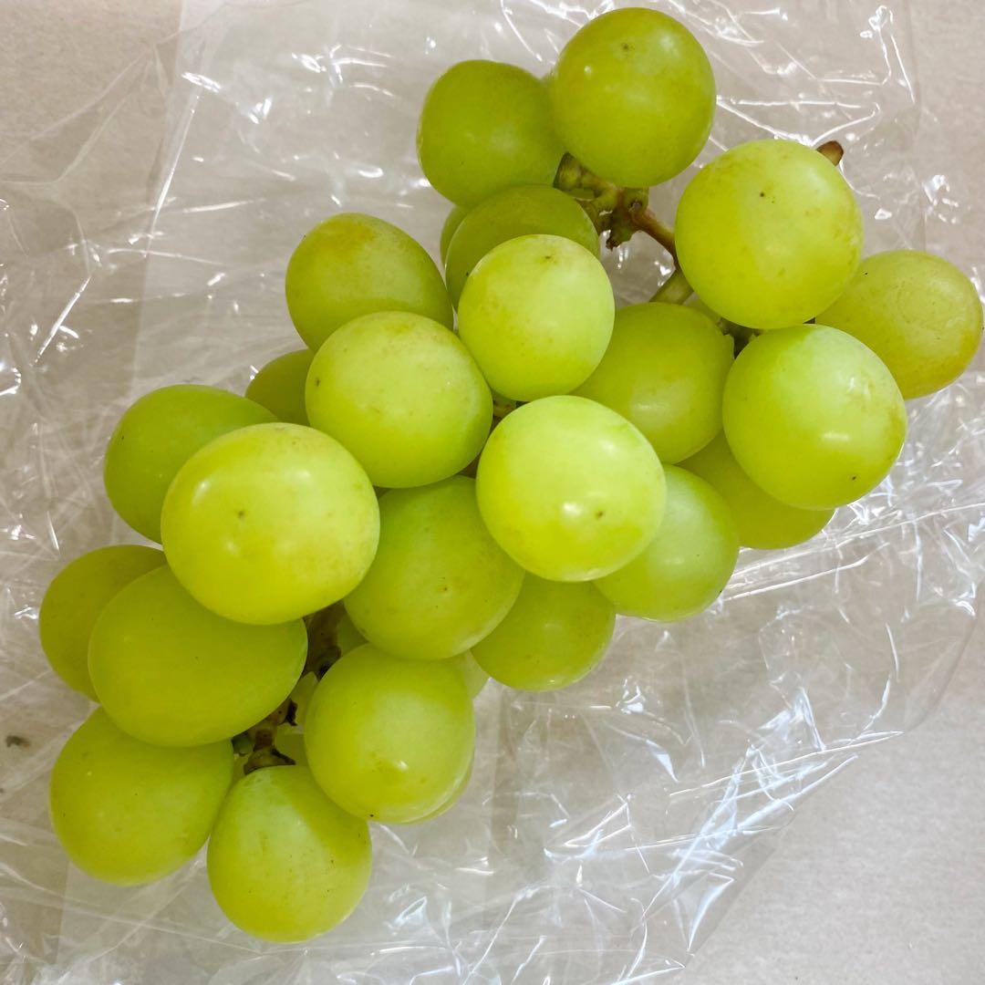 山梨県産　訳あり　家庭用　シャインマスカット　13房　箱込み5.5kg ②