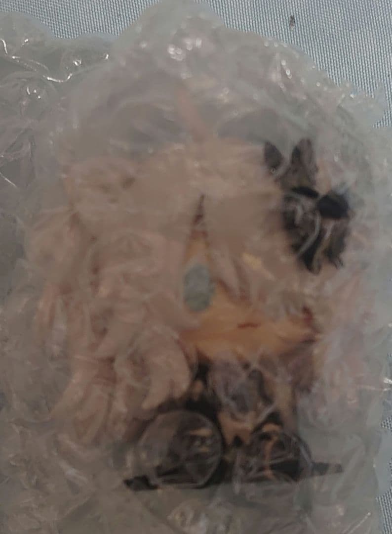 一番くじ ホロライブ 獅白ぼたん まとめ売り