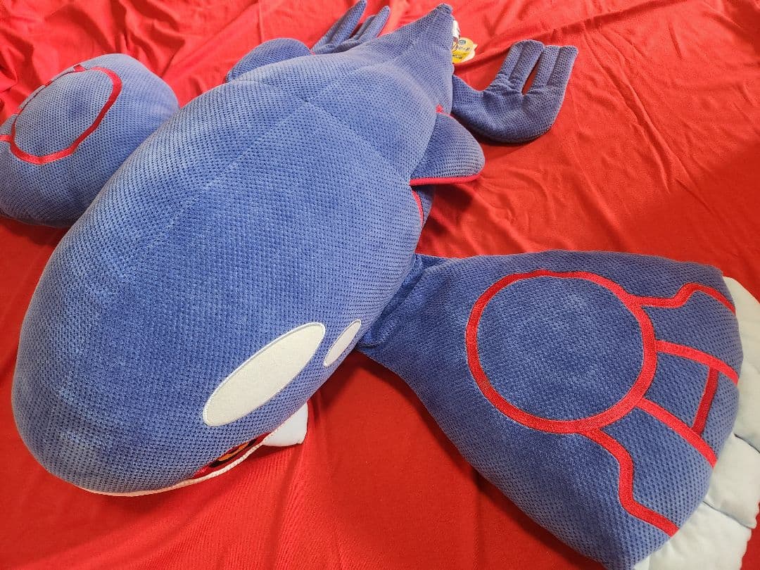 ポケモン　ハートランド　カイオーガ　ぬいぐるみ　ほーのぼ～の