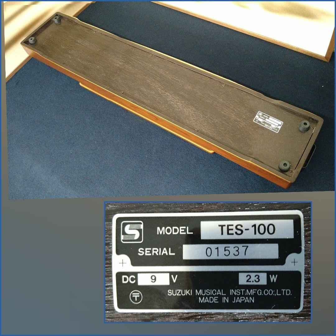 AF3 電子大正琴TES-100 音出し確認済 アダプター出力線 他 ケース入
