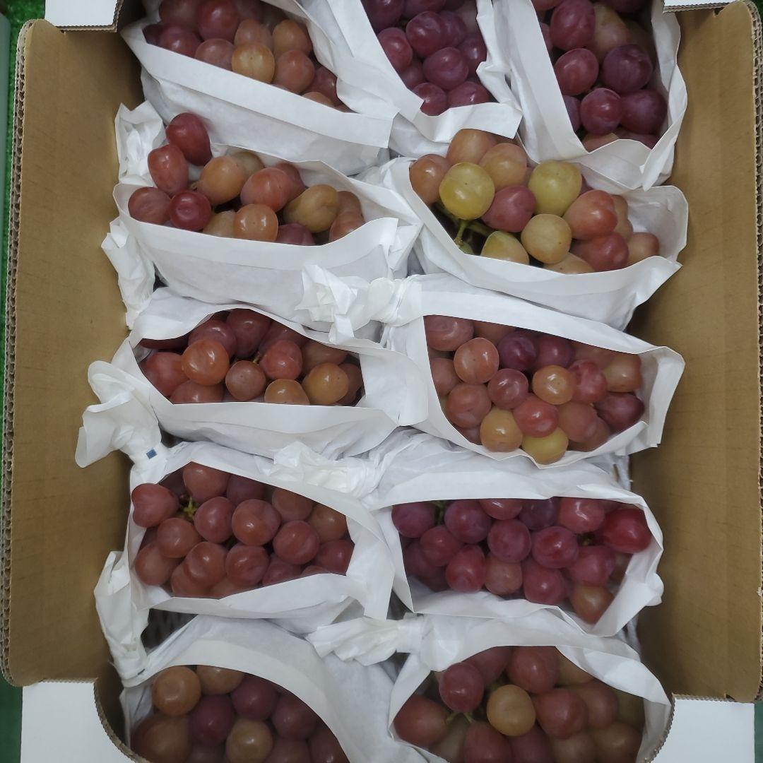 1⃣4️⃣ 山梨県産 マイハート １１房入り 箱込み5.5キロ