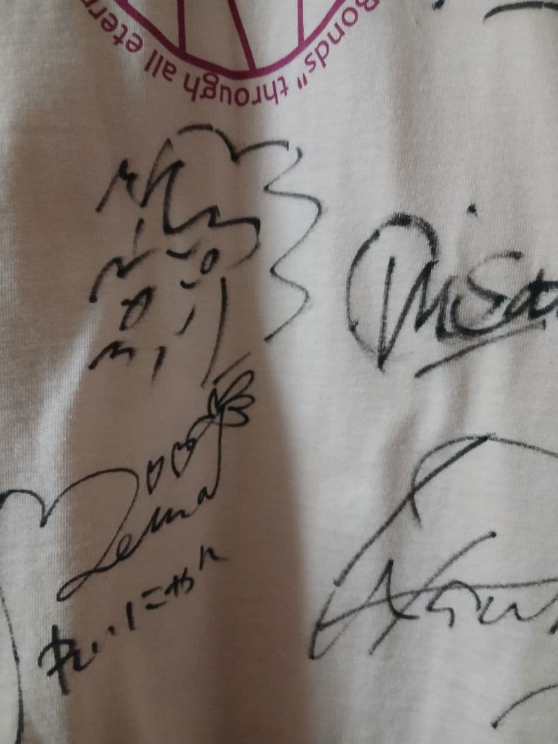 AKB48 大運動会 絆Tシャツ 直筆サイン 20周年 チームA K B