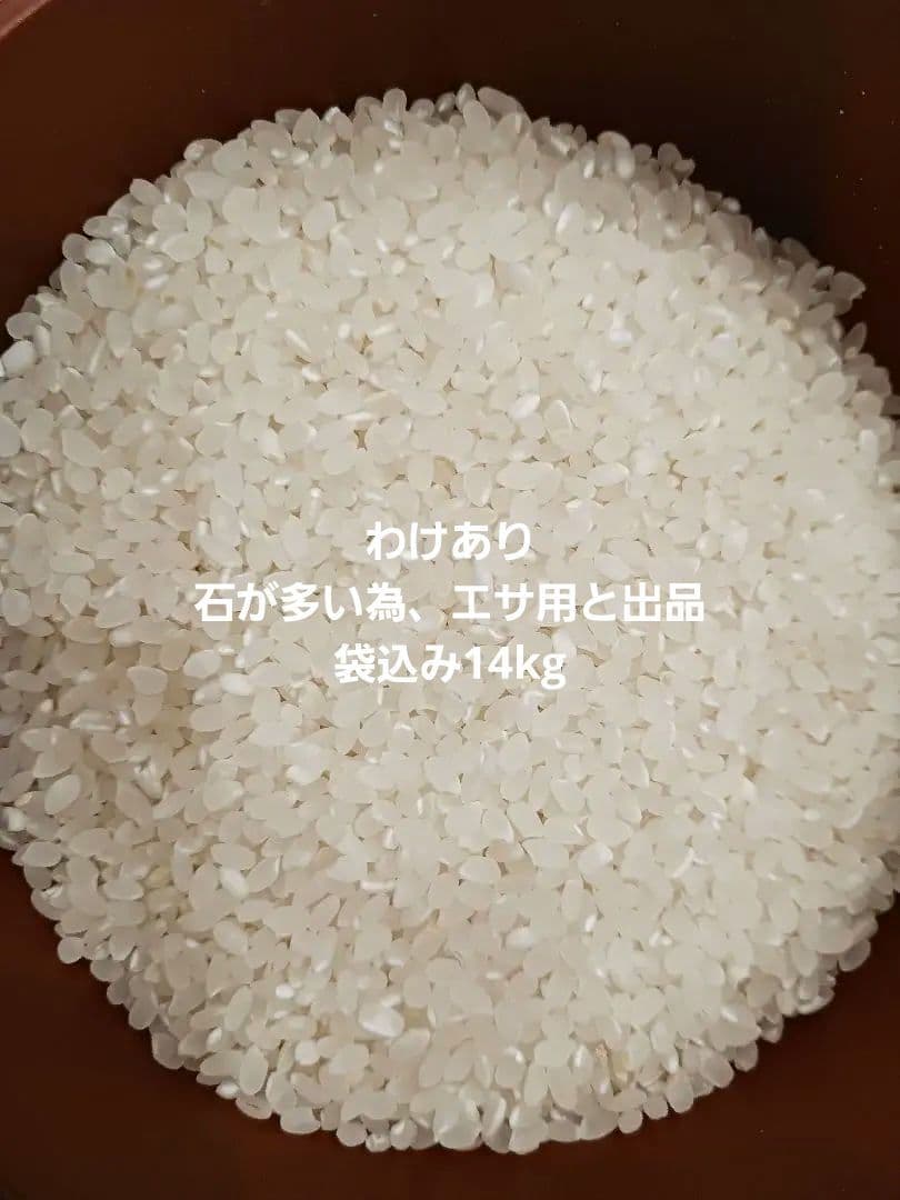 エサ用 令和6年産 くず米 精米済 エサ用 袋込み14kg 石有り