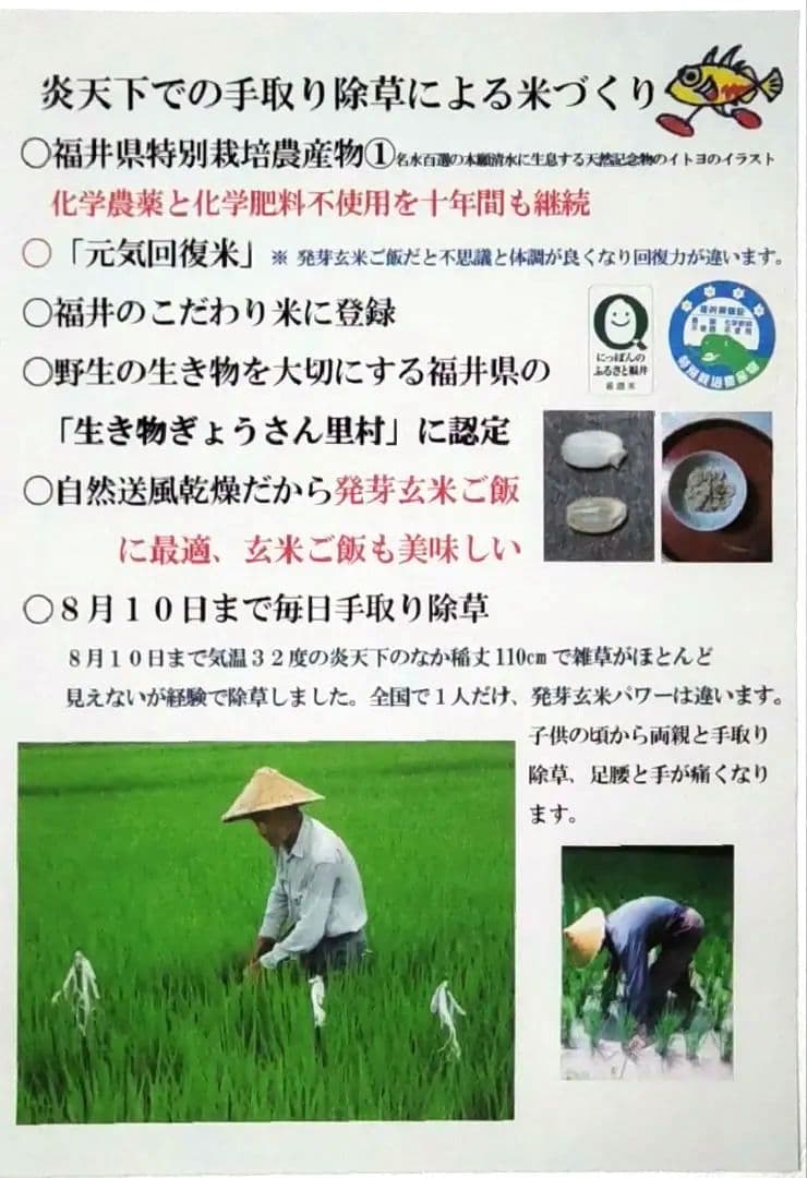 有機は他の米の百倍の手間 玄米10kg ７年産コシヒカリ 特栽① 農薬等不使用