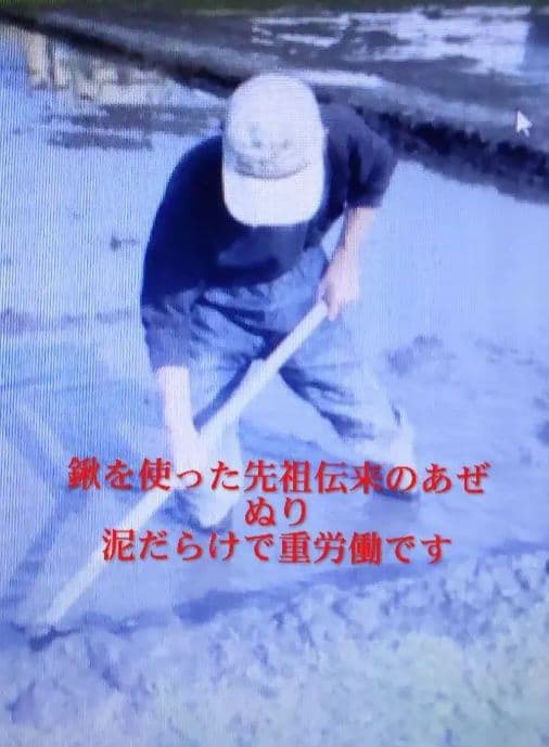 有機は他の米の百倍の手間 玄米10kg ７年産コシヒカリ 特栽① 農薬等不使用