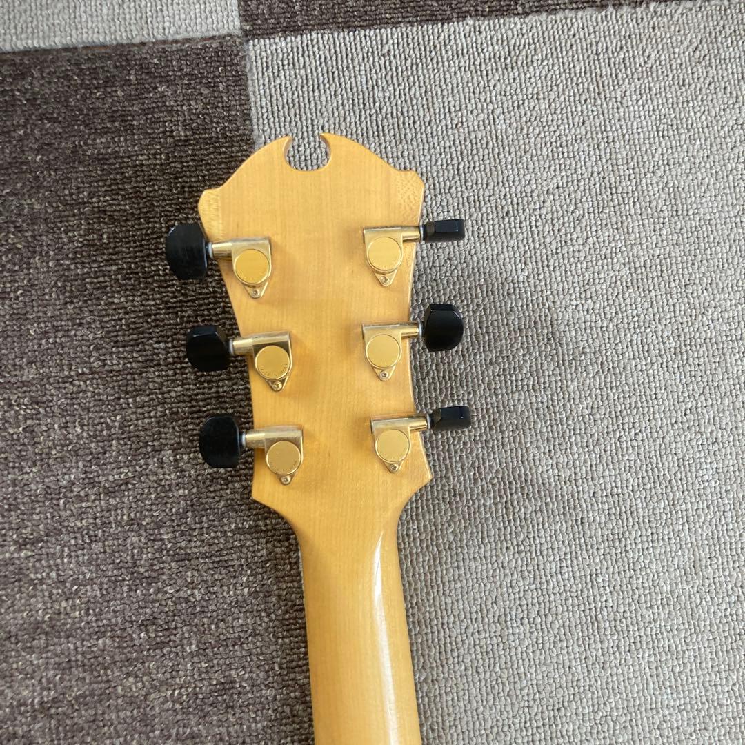 D. A. guisto Jazz Line エレキギター