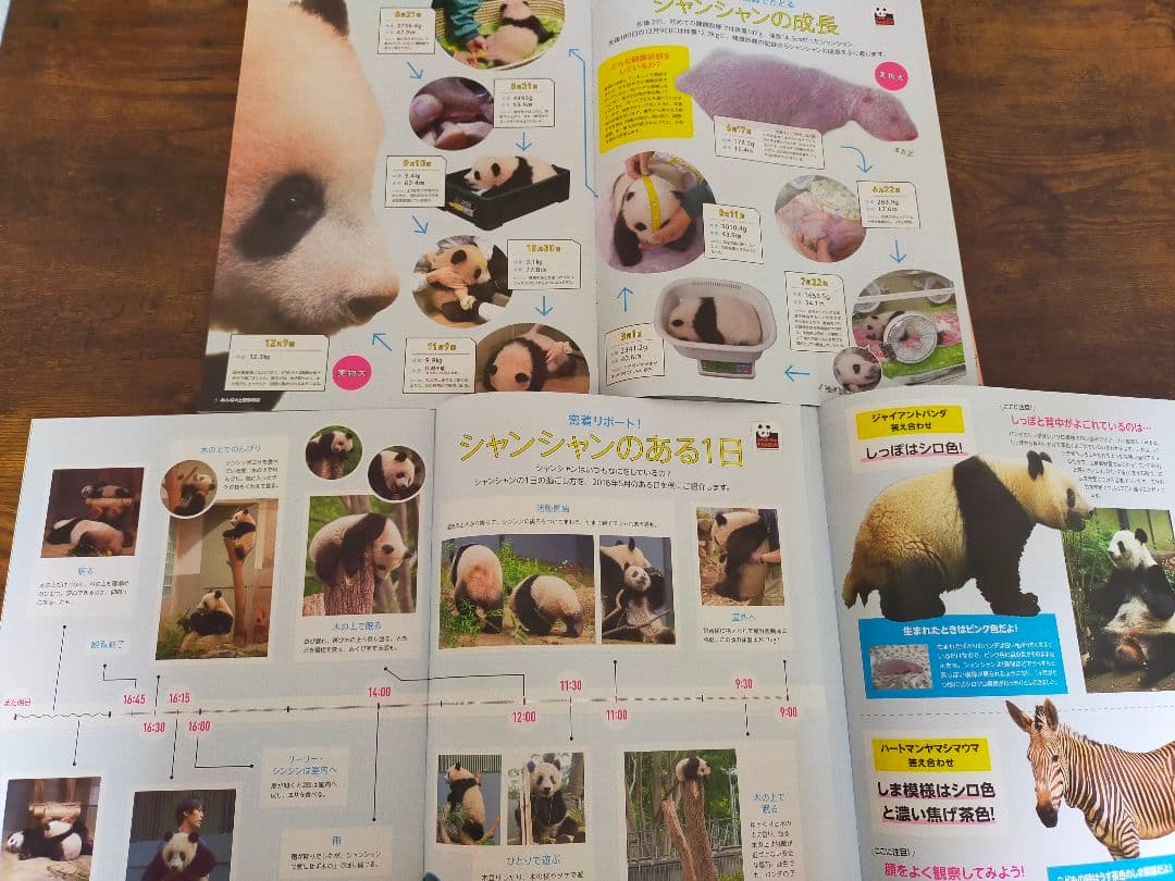 上野動物園 シャンシャン 公式グッズ おまとめ ☆最終セール☆