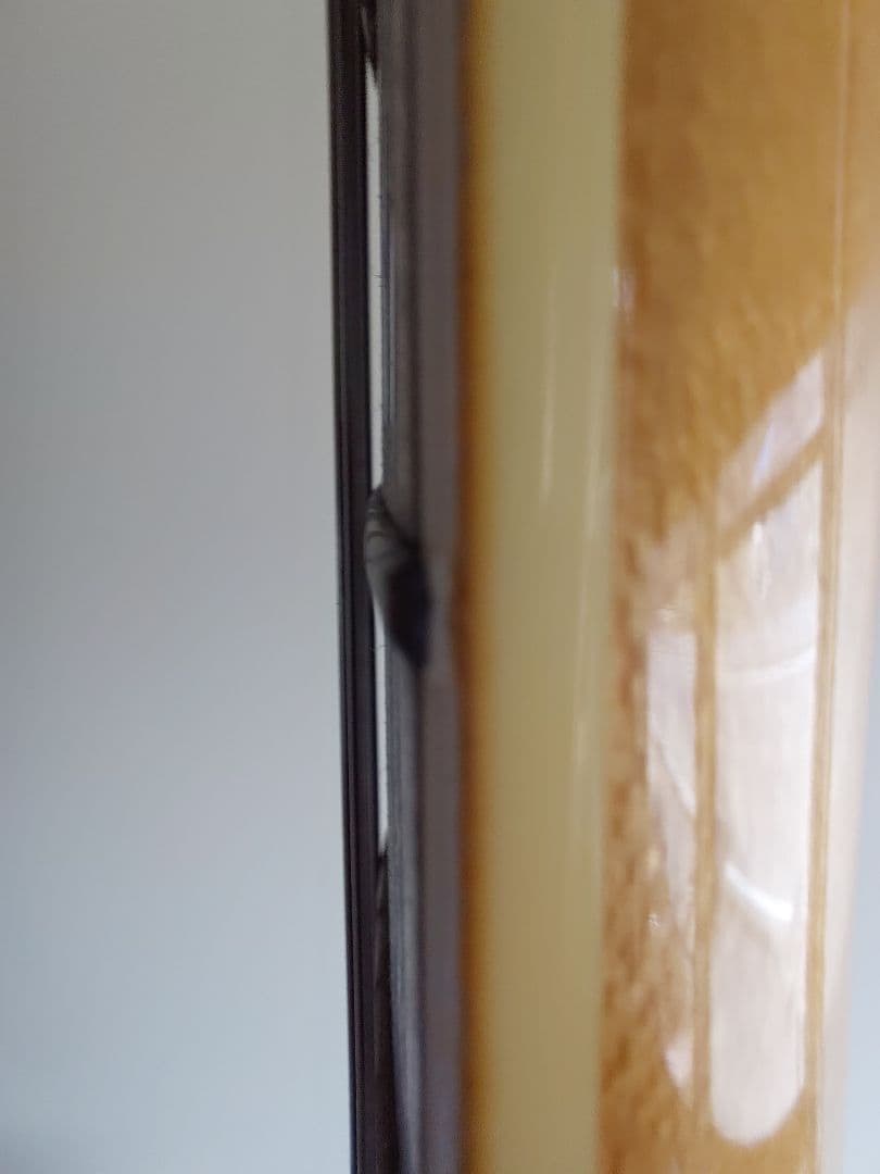 FERNANDES MG-80x hideモデル X JAPAN モッキンバード