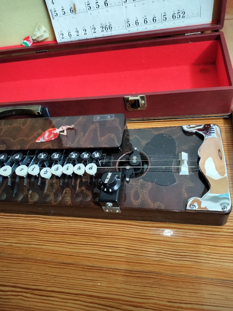 琴伝流 大正琴 5弦 ケース付き 初心者向け