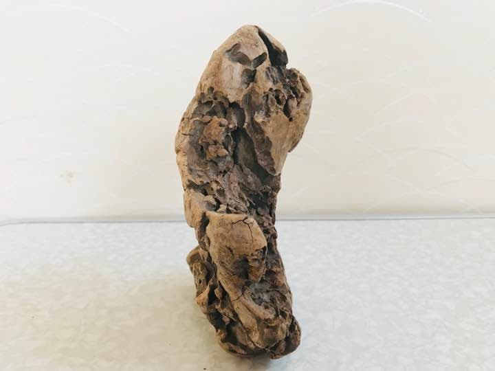 流木 アク抜 15cm