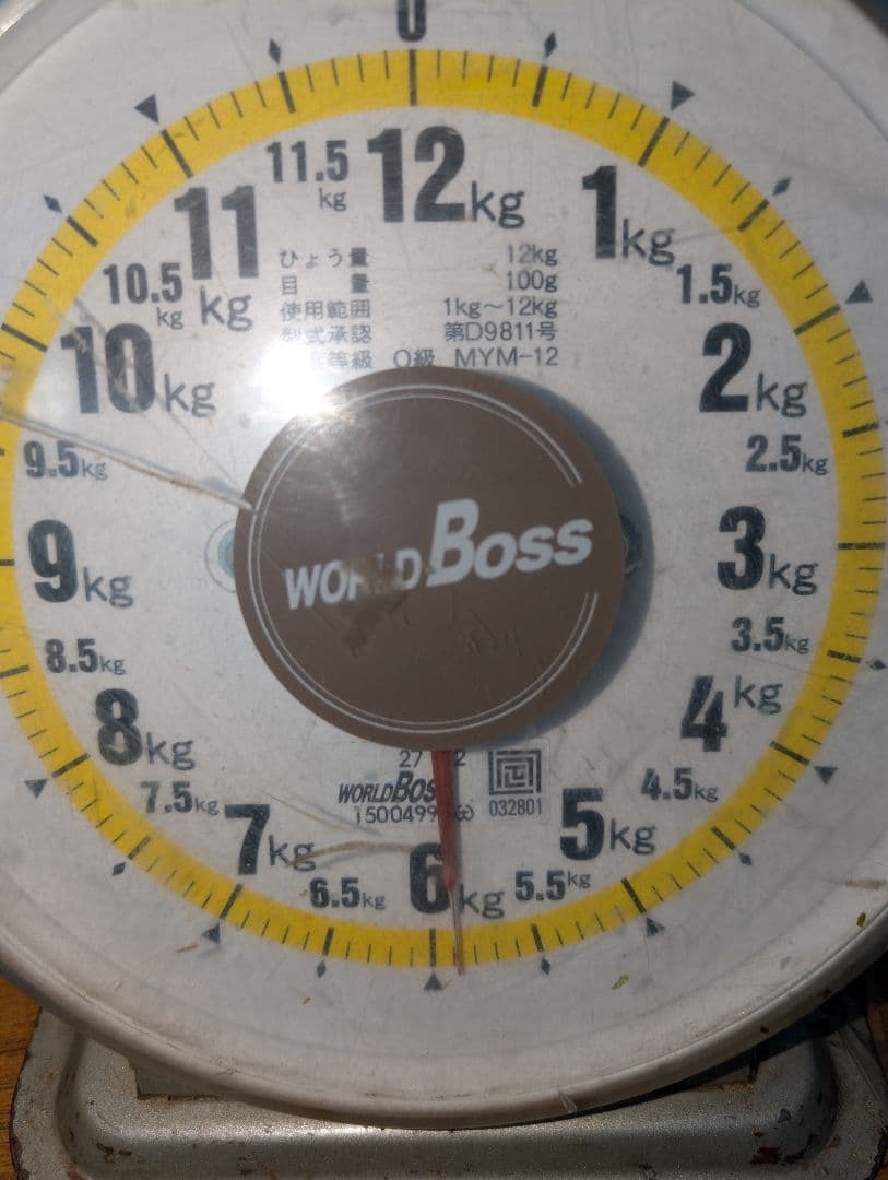 山梨県産ぶどう　サンシャインレッド　11房入り　箱込み約5.9kg