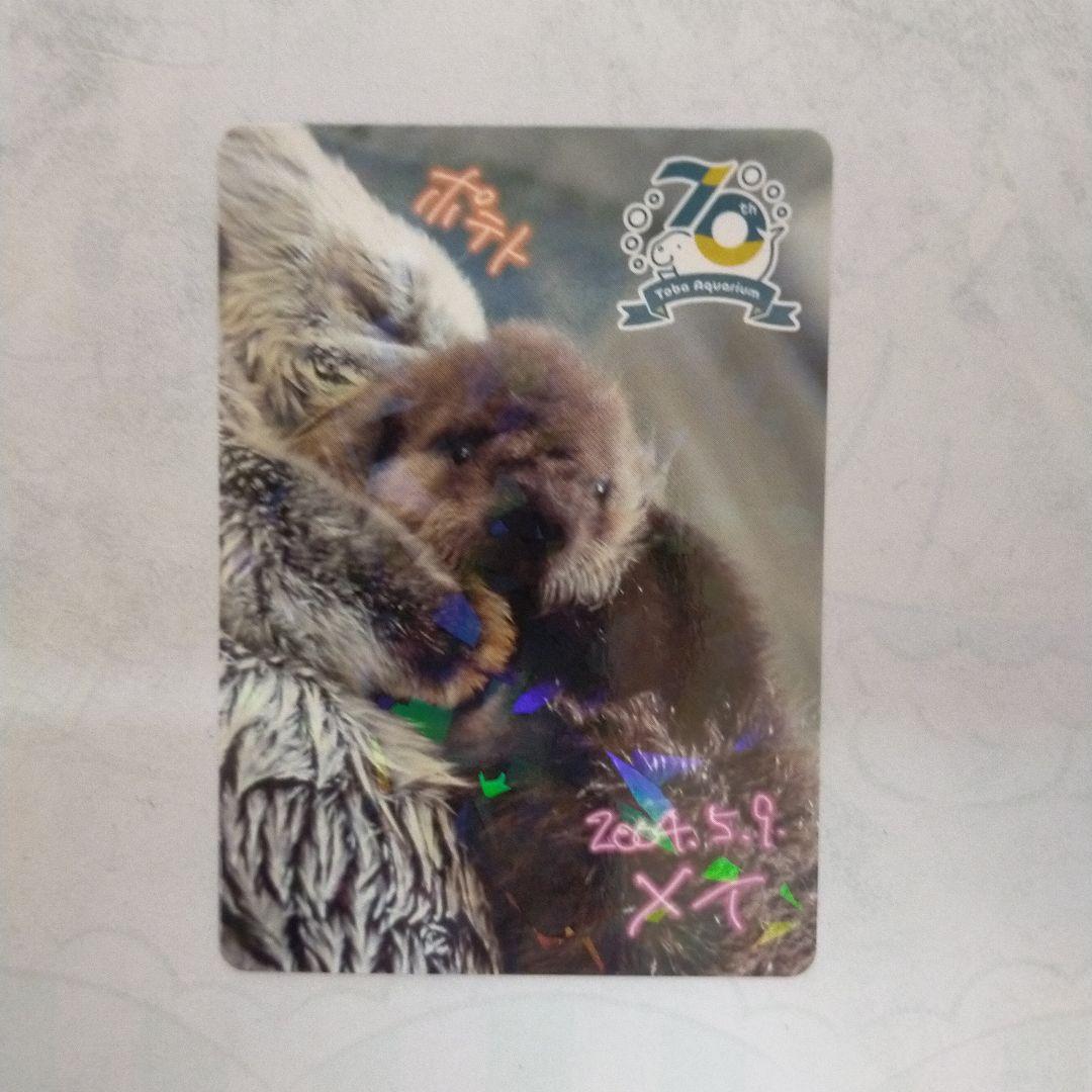 鳥羽水族館 コレクションカード レア レアカード ポテト メイ ラッコ 赤ちゃん