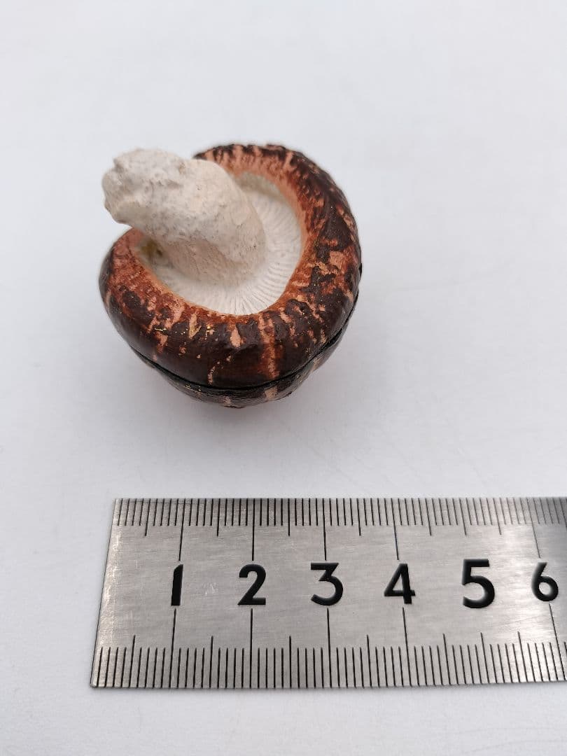 b120 【新品・未使用】香合 乾漆 椎茸 畦地粒表 多喜翁 木箱 茶道具 風炉