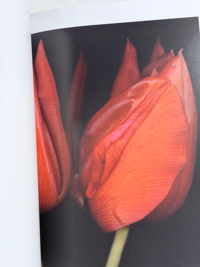 ヘルマン・フォスターリング『Flora Magica』(2006)