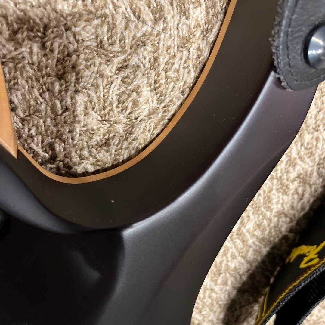 【美品】strandbergNX6 BodenStandard6弦ギター 付属品