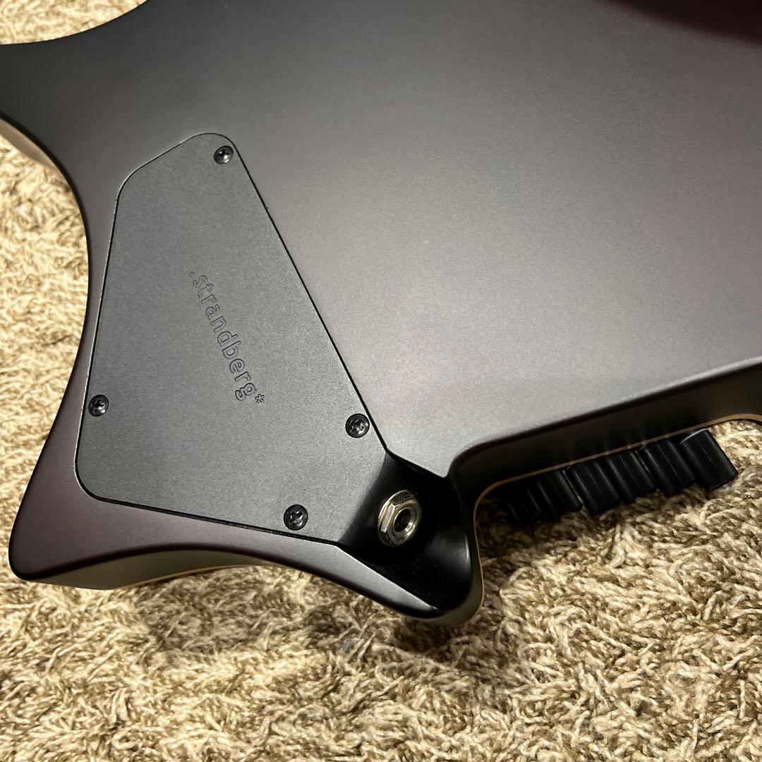 【美品】strandbergNX6 BodenStandard6弦ギター 付属品