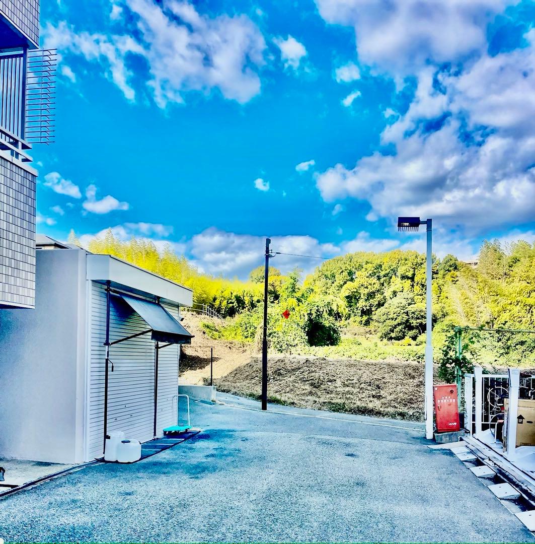 【希少】DAHON CURVE SL シマノCAPREO 外装9段 2010年