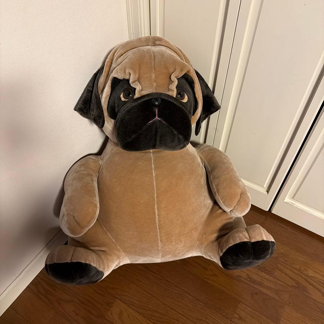 【発送3/1〜可】パグ犬　ぬいぐるみ　特大　大きめ　わんちゃん　ぱぐ　美品　レア