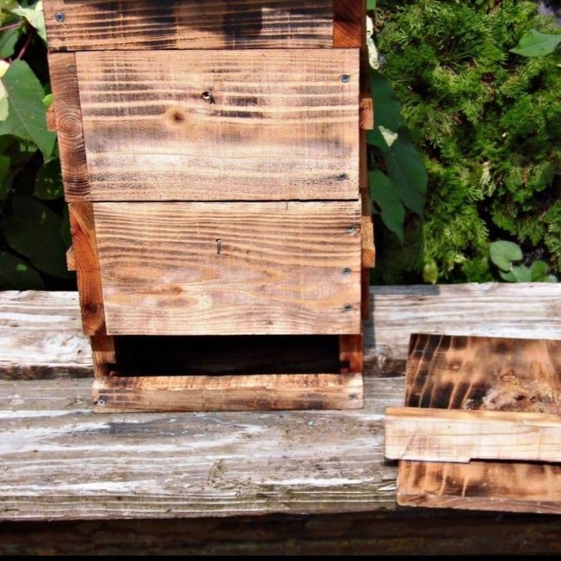 日本蜜蜂のはちみつ　蜂蜜　結晶化　百花蜜　ニホンミツバチ　国産　非加熱　無添加