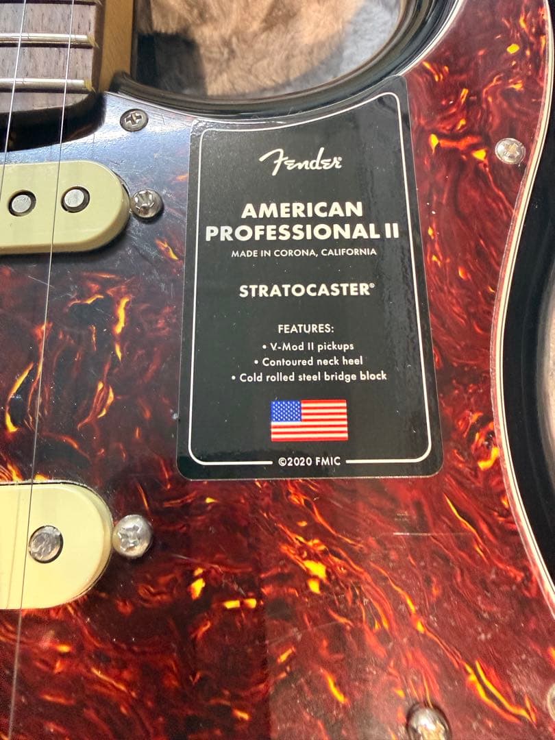 ギター Fender American Professional II St.