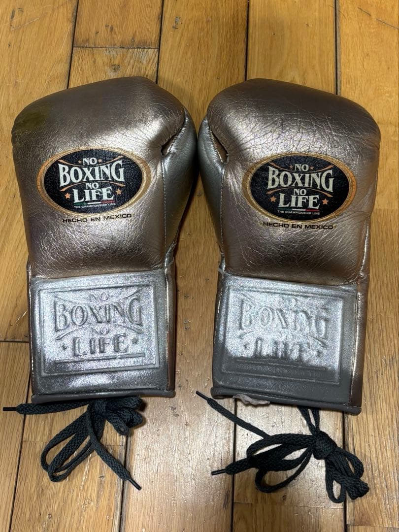 NO BOXING NO LIFE 8oz ボクシンググローブ カネロアルバレス