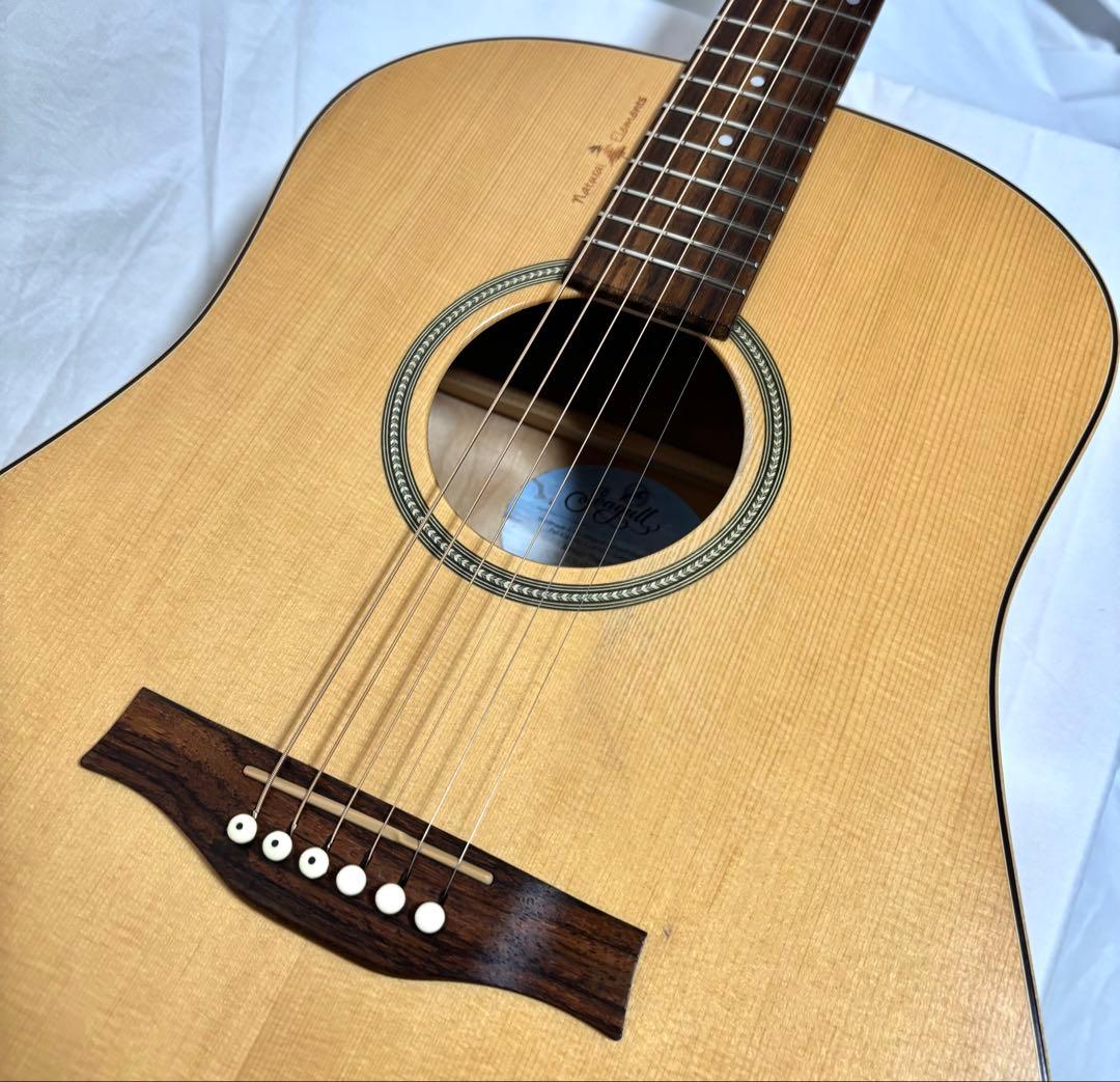 【新品弦張替済】Seagull エレアコ Amber Trail SG T35