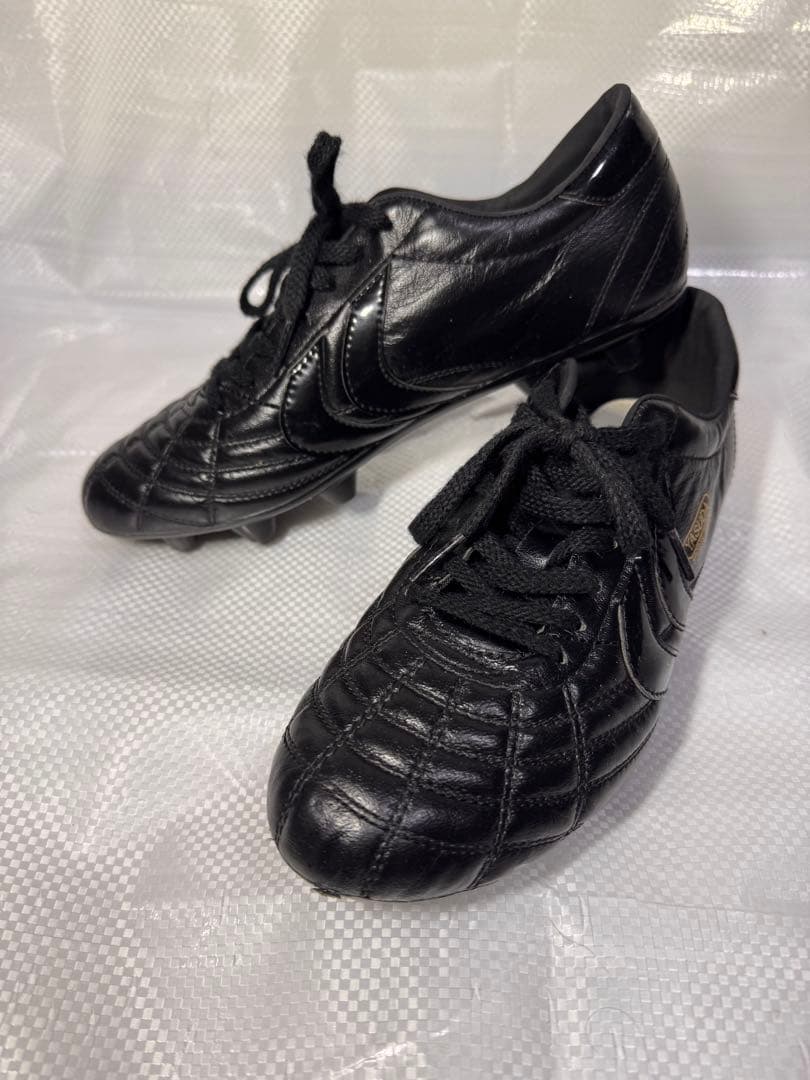 YASUDA リガレスタ PRO