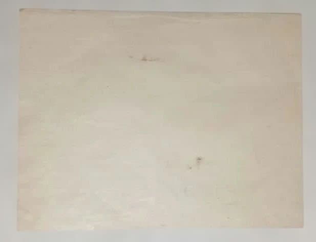 塊石版画、下曽我の梅林と富士、（富士25図の内)定石塊石画昭和6年出版