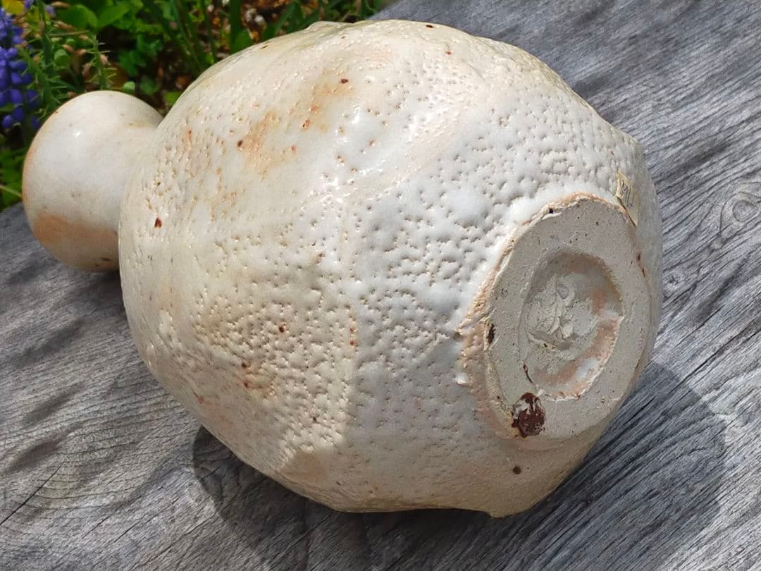 ♥美濃焼　志野　林正太郎　花瓶　高２６５ｍｍ　花器