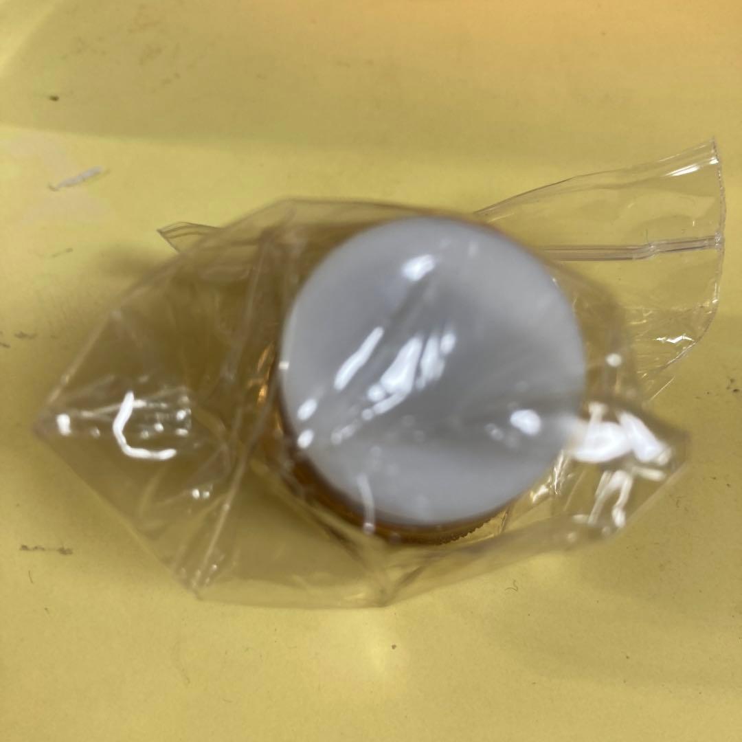 B I R D エレメント　新品未使用　バード43ワット