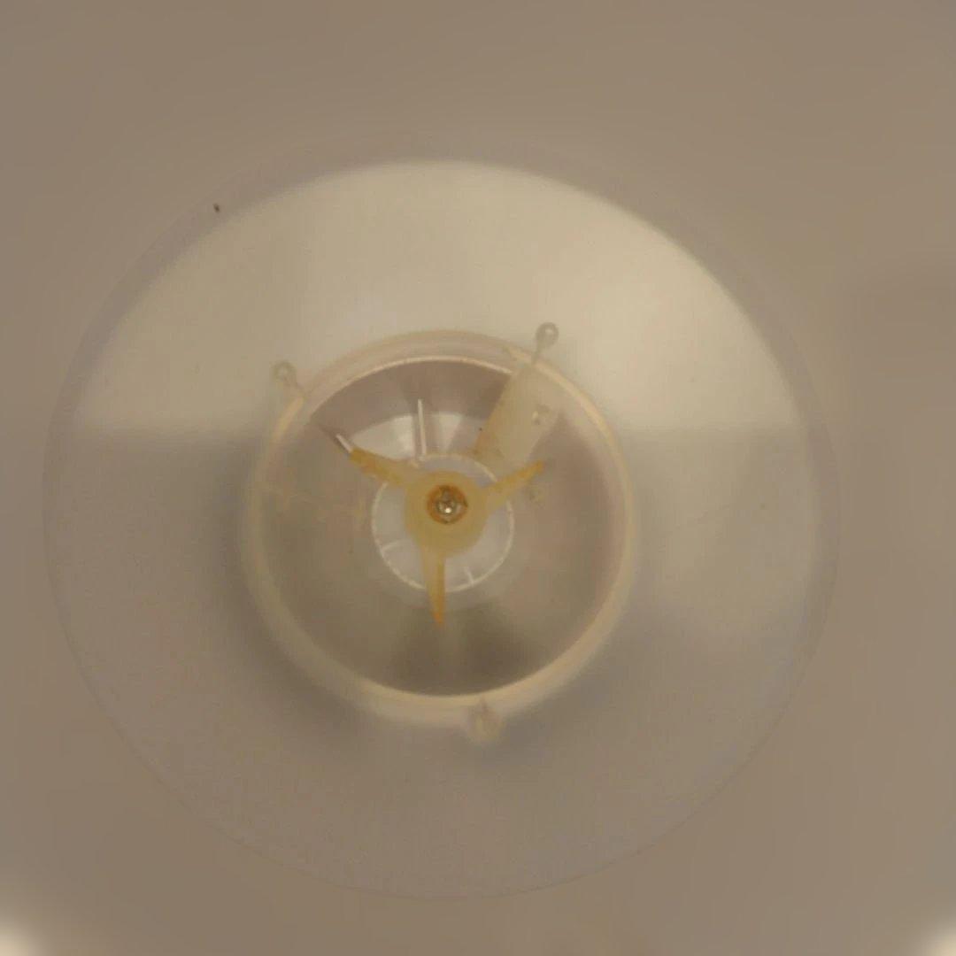 猫　自動給餌器　キャリーケース　トイレ　セット