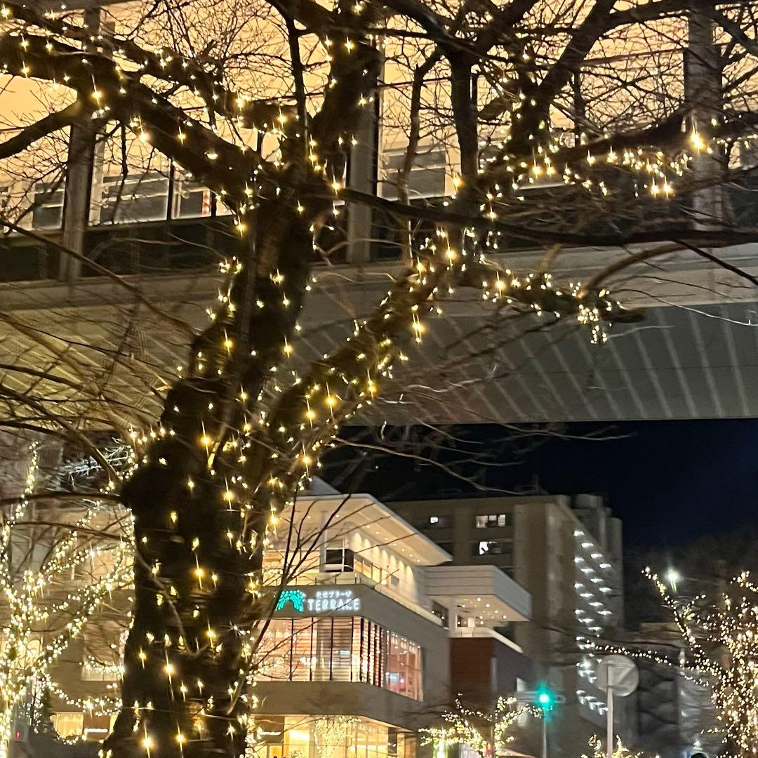 さがすずか 直筆サイン