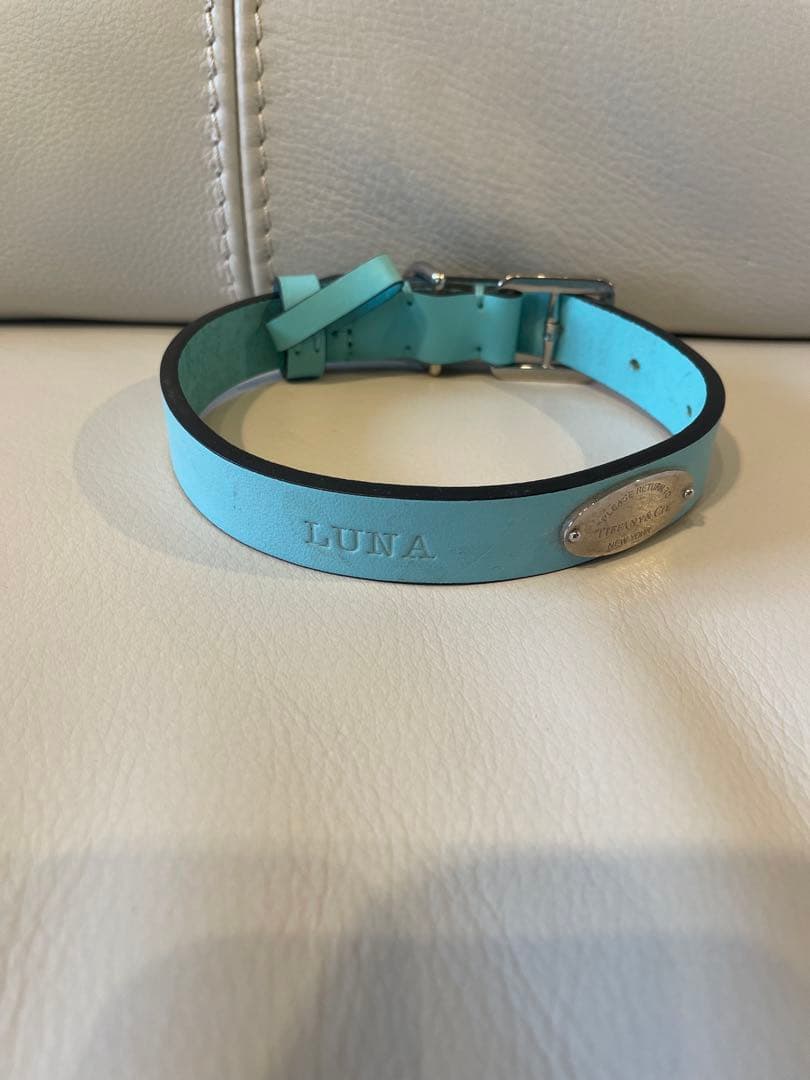 Tiffany & Co. 水色 レザー首輪