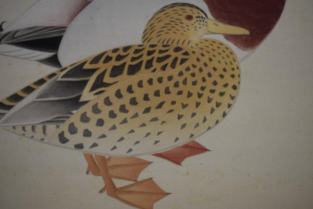 真作/鳥心/鴨図/桐共箱太巻箱付/布袋屋掛軸HG-524