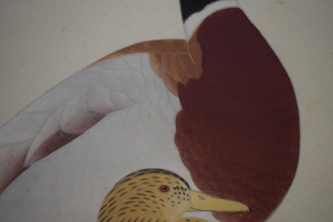 真作/鳥心/鴨図/桐共箱太巻箱付/布袋屋掛軸HG-524