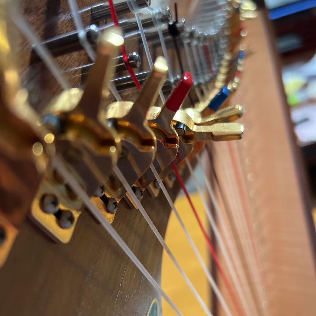 【⠀青山ハープ 】サウルハープ25弦