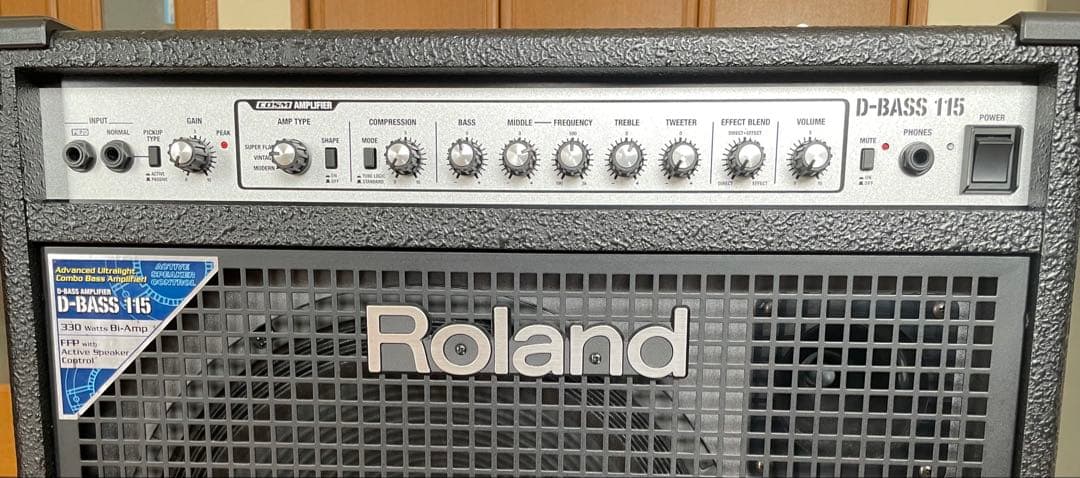 Roland d-bass 115 ベースアンプ