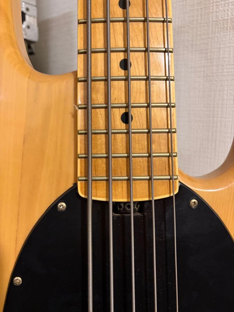 SX スティングレイ