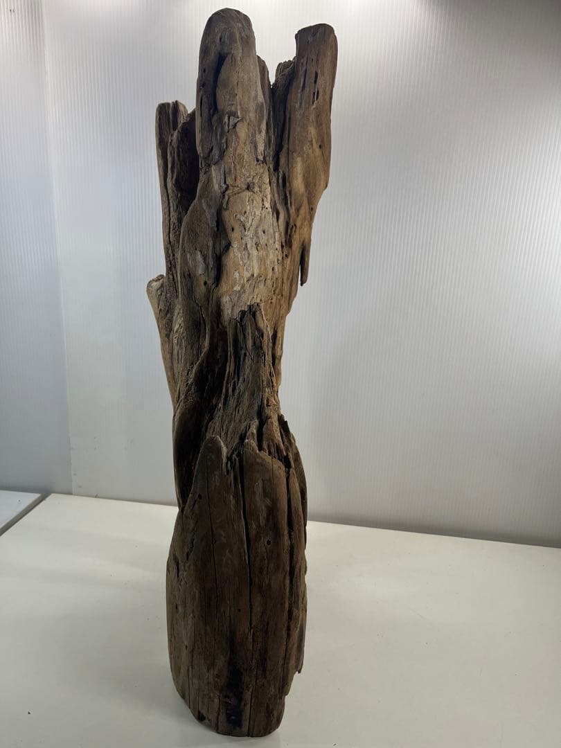 W28特大流木アク抜き済み流木 爬虫類シェルター 登り木 インテリア 生け花
