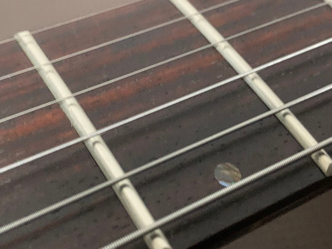 グラスルーツ glassroots フォレスト Forest G-FR 美品 赤