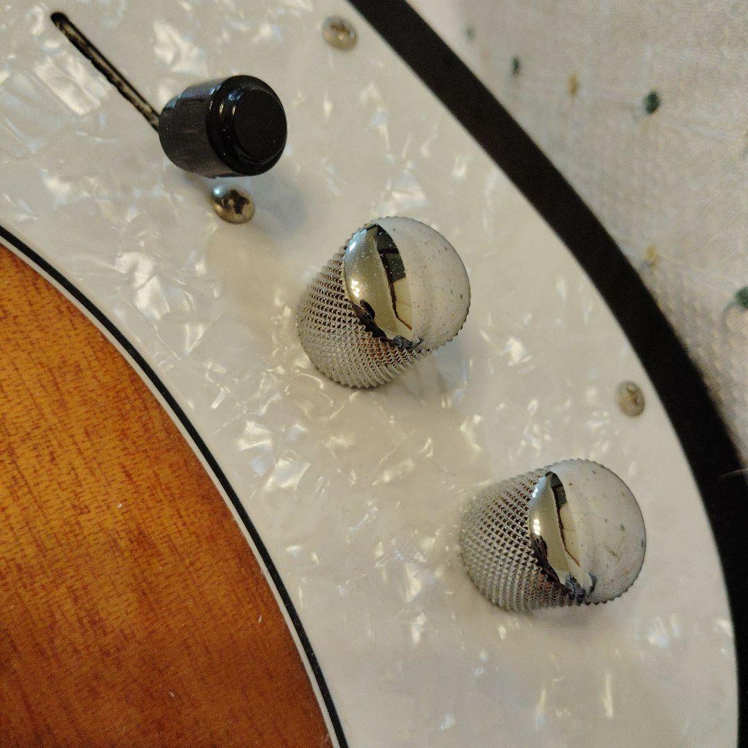 LEGEND LTE-69TL 3TS シンライン テレキャスタータイプ