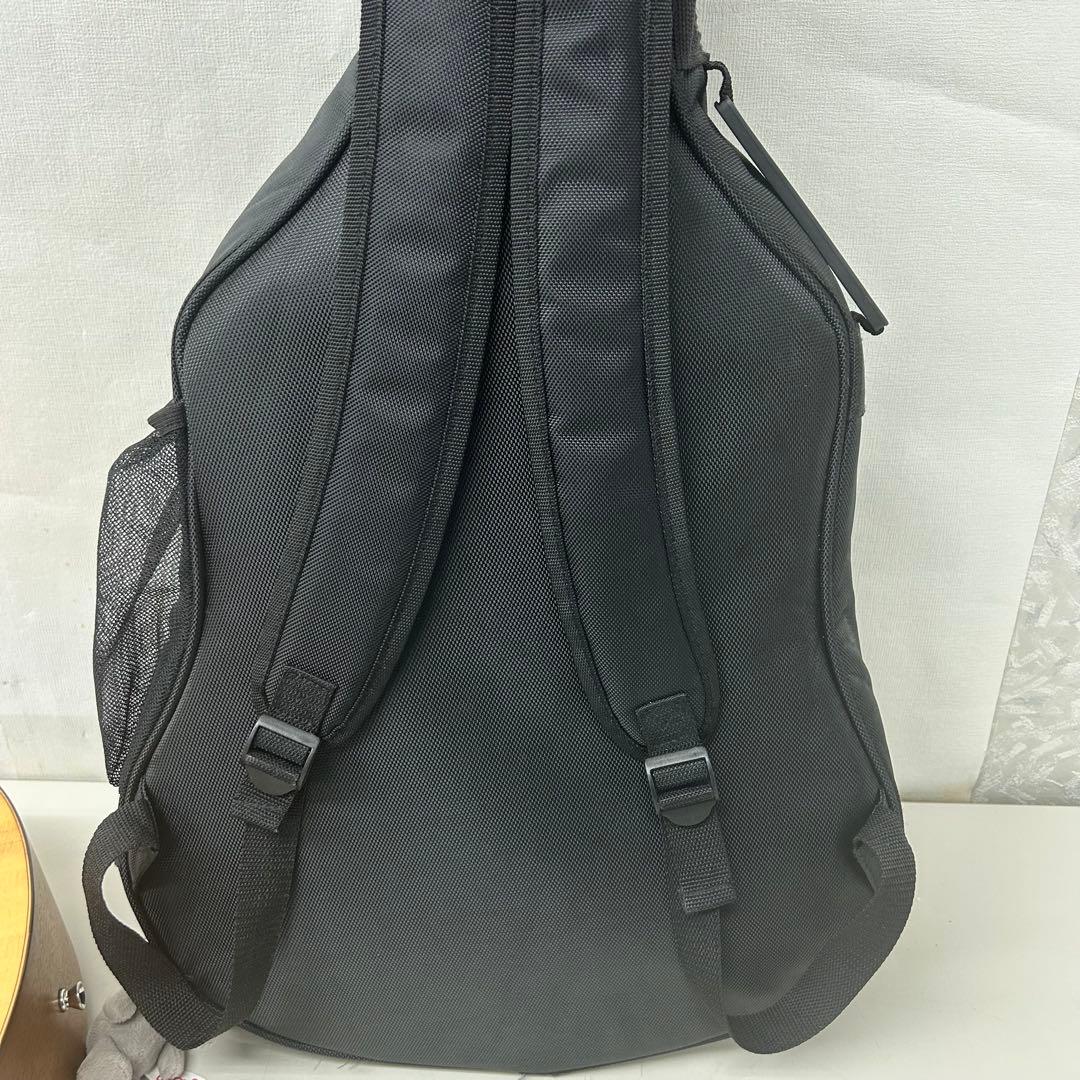 A.C. ZEMAITIS（ゼマイティス）アコースティックギターCAM-60H