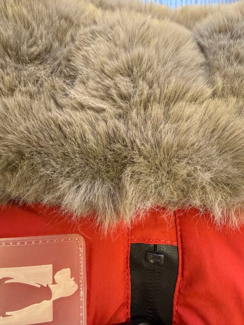 USHH スノースーツ ミニチュアシュナウザー用