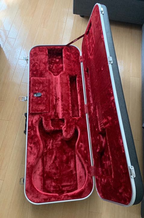 Ibanez M20S ハードケース