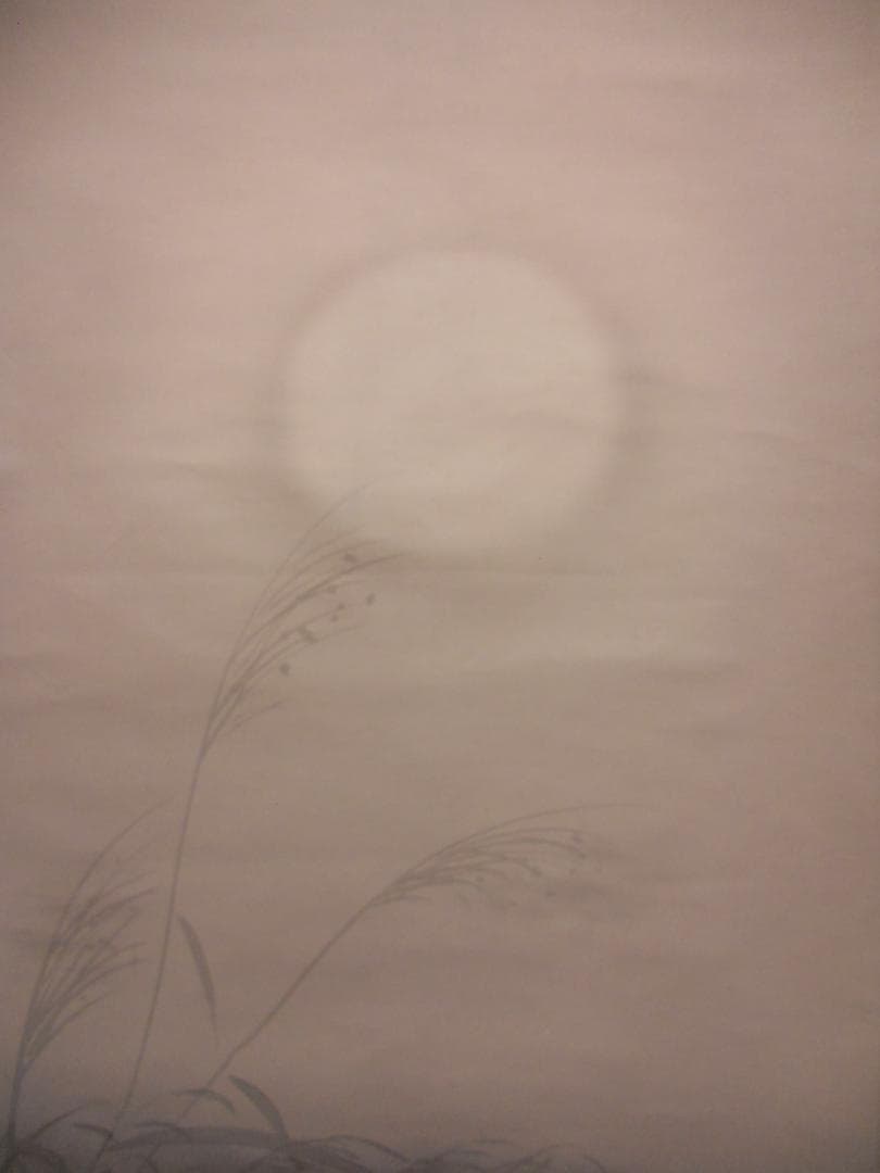 掛け軸 山田昇仙 『 狸之図 』 中島清堂 識箱 絹本 希少 茶道具 掛軸 美品