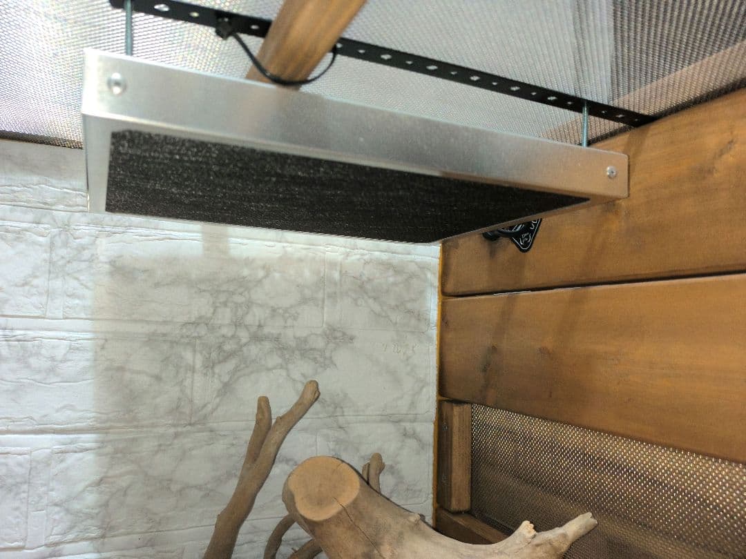 フトアゴヒゲトカゲ飼育フルセット