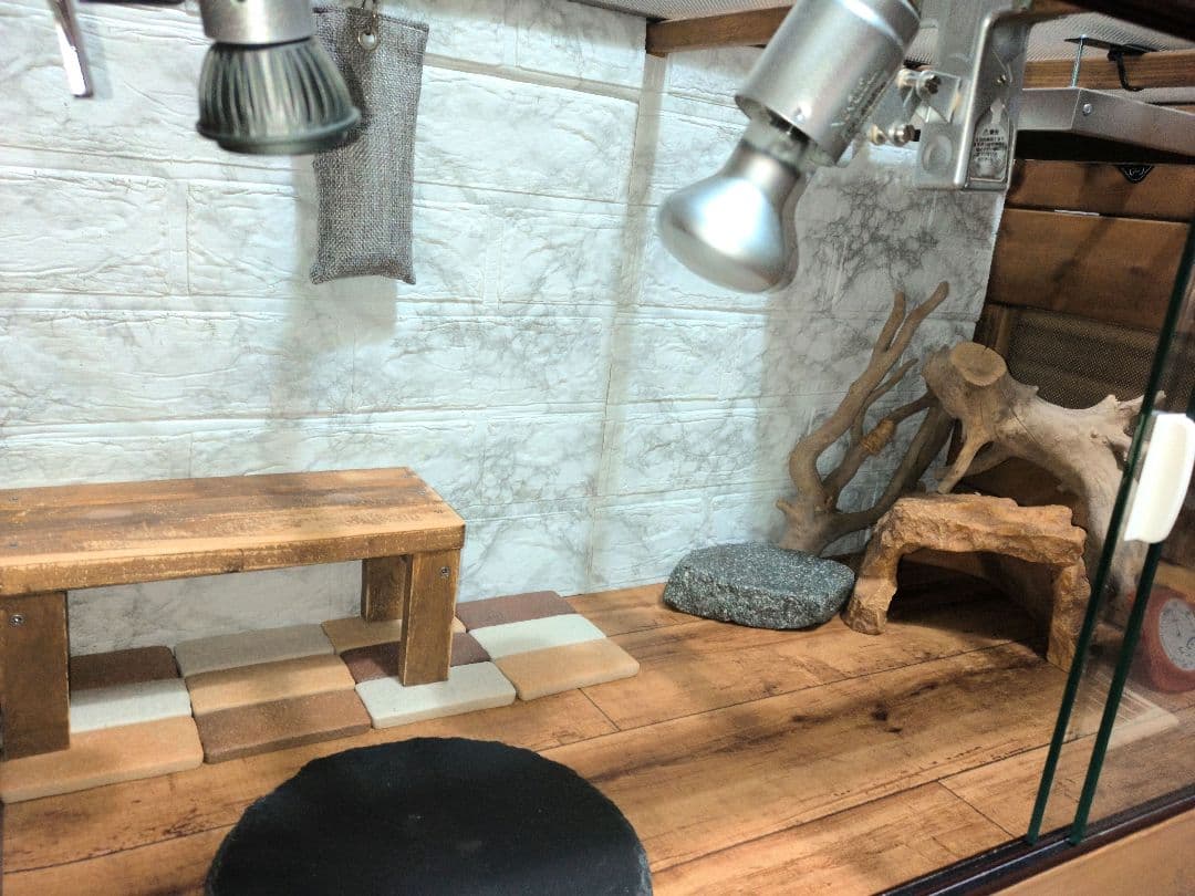 フトアゴヒゲトカゲ飼育フルセット